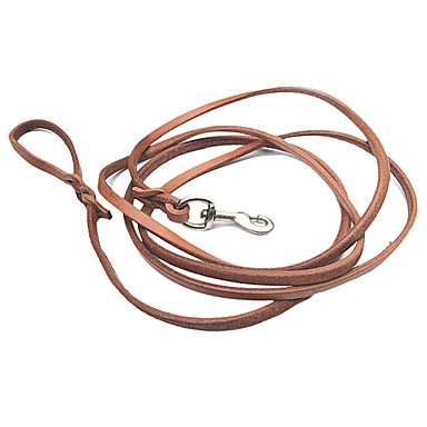 Collars, Harnesses & Leashes